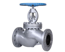 Globe Valve