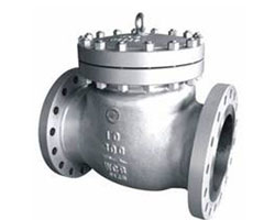 Swing Check Valve